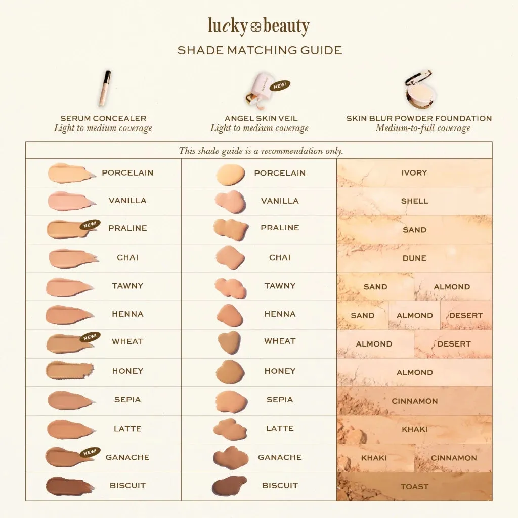 Skin Blur Powder Foundation